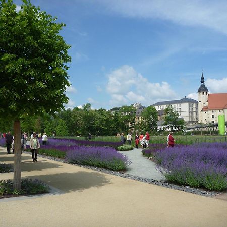 Hotel Am Park Reichenbach im Vogtland Exterior foto